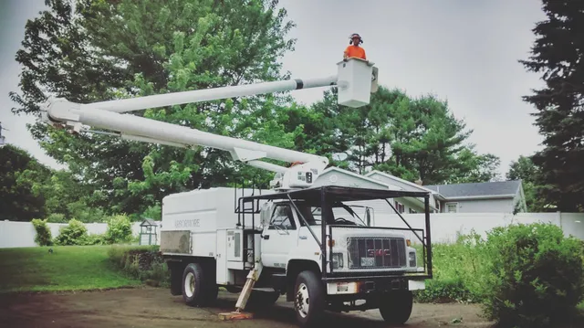 Arbormore Tree Service work photo