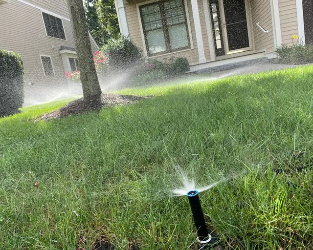 F Carias Irrigation Specialist INC work photo