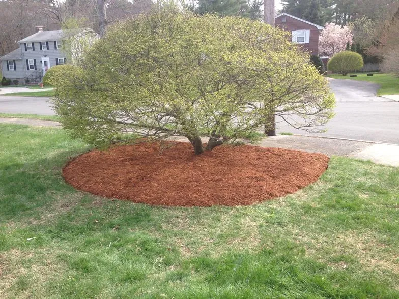 work photo from mebasslandscaping.com