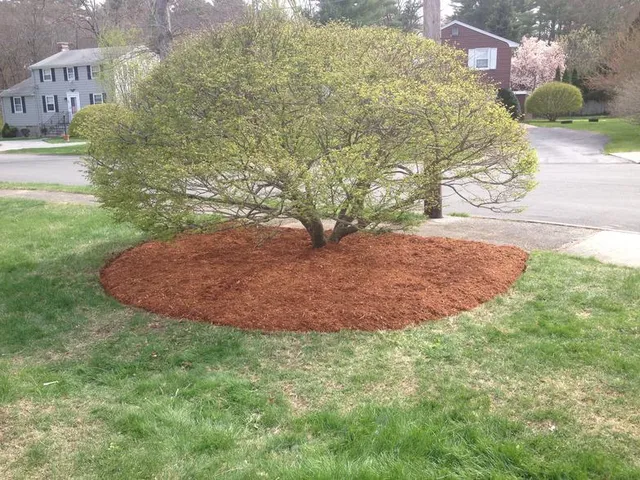 work photo from mebasslandscaping.com
