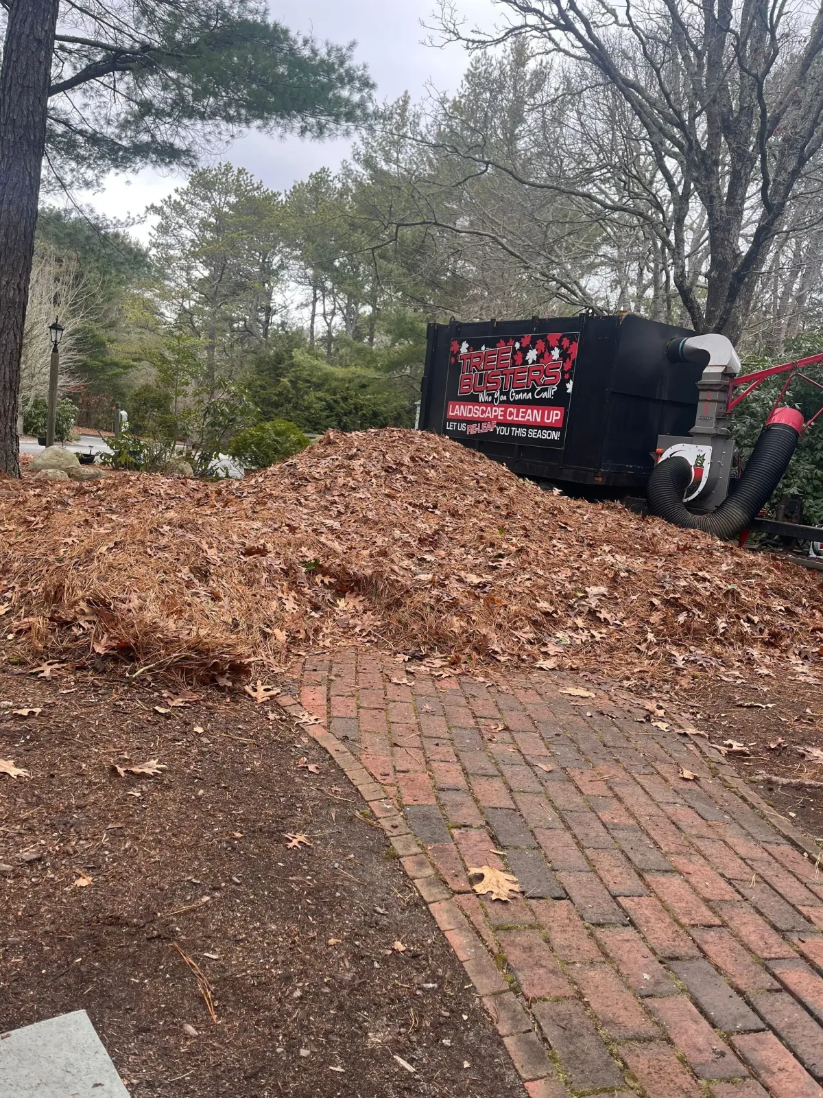 work photo from treebusterscapecod.com