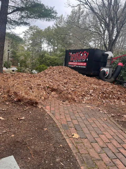 work photo from treebusterscapecod.com