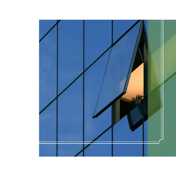 5050 IMG 3.png
