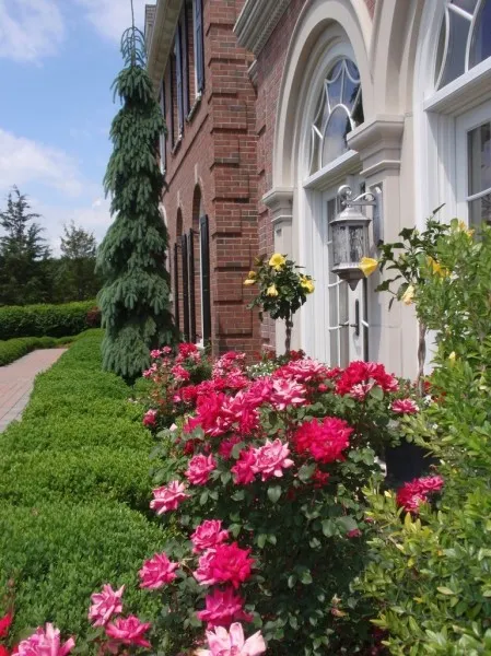 work photo from jbtreeandlandscape.com