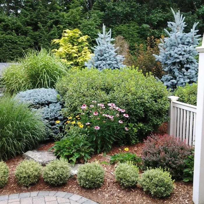 Burgess Landscape Design Construction & Tree Service researched project photo