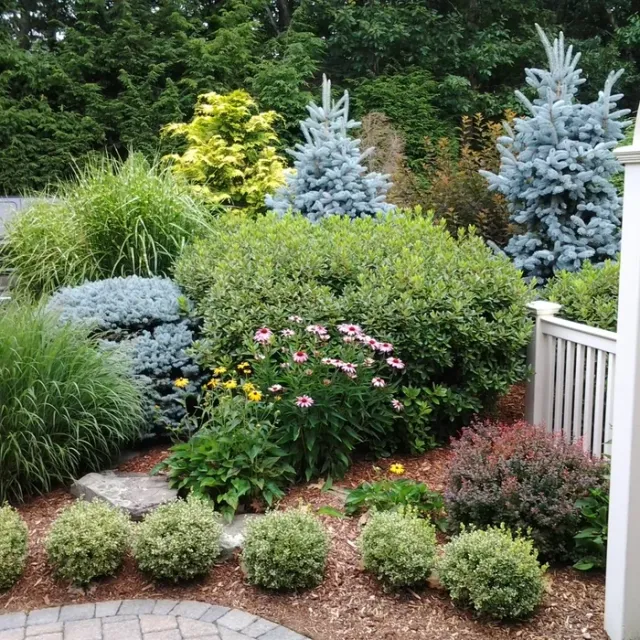 Burgess Landscape Design Construction & Tree Service researched project photo