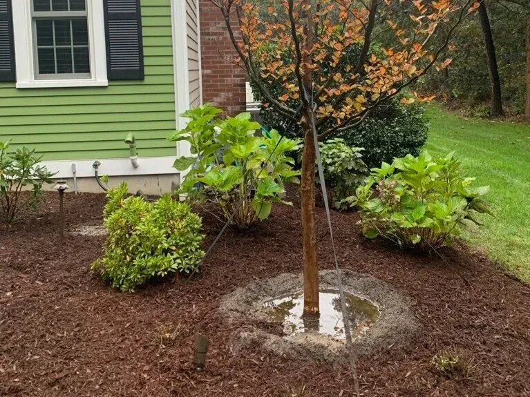 UNADJUSTEDNONRAW_thumb_2030.jpg