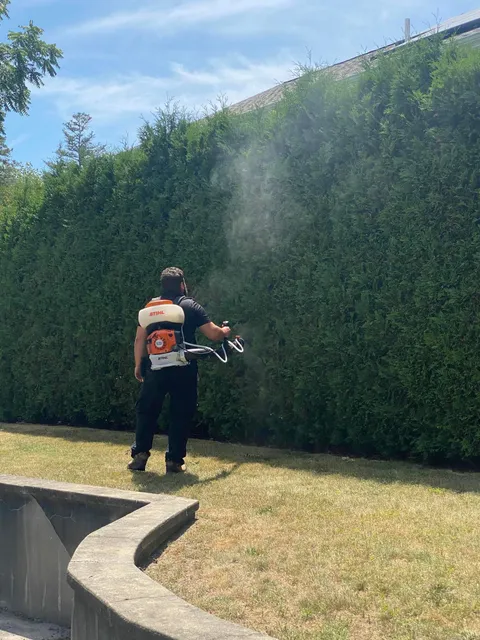 On The Fly Pest Control work photo