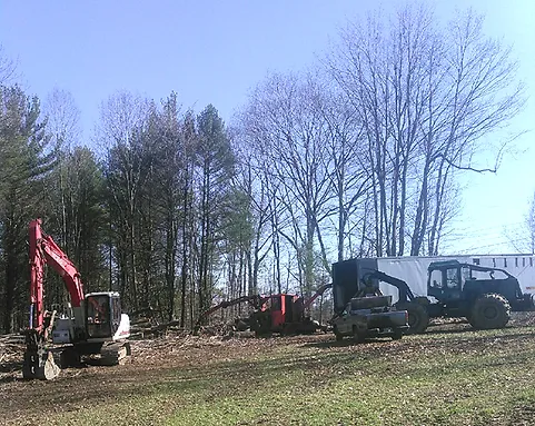 Foster Logging & Excavation work photo
