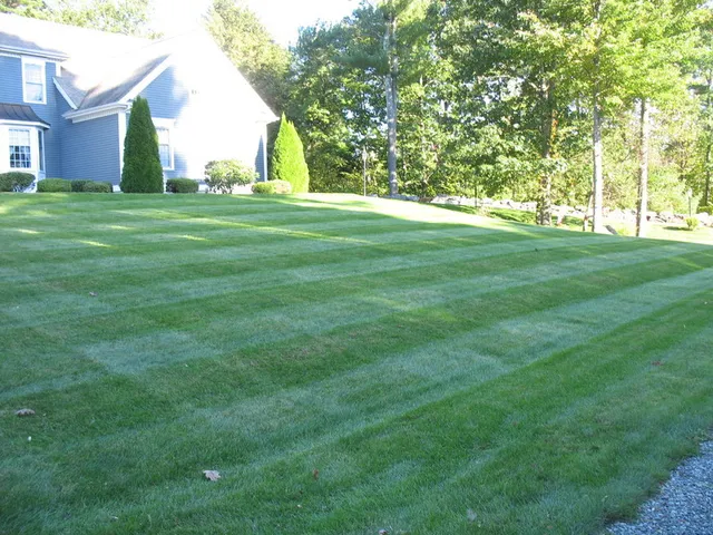 work photo from lawnboylandscaping.com