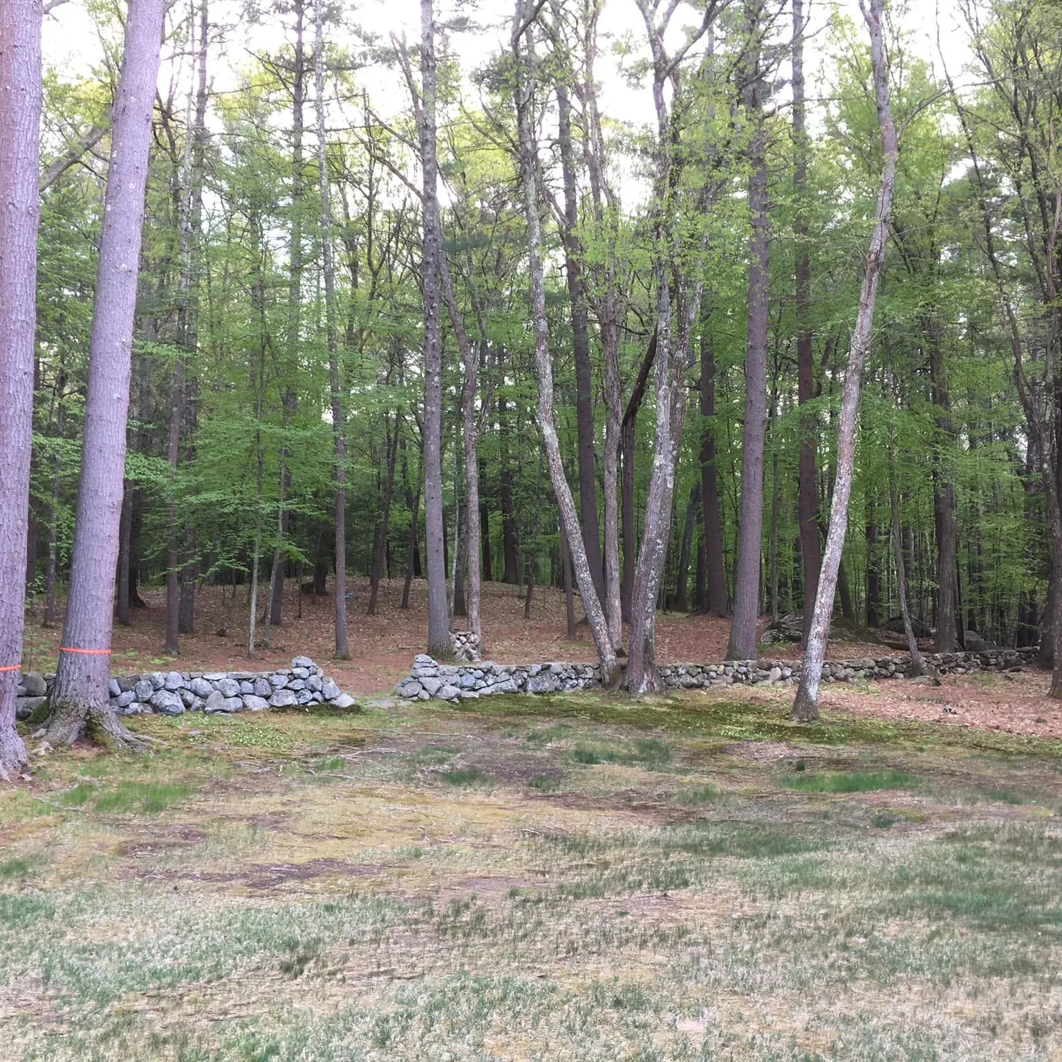 WRIGHT LANDSCAPE SERVICES INC researched project photo