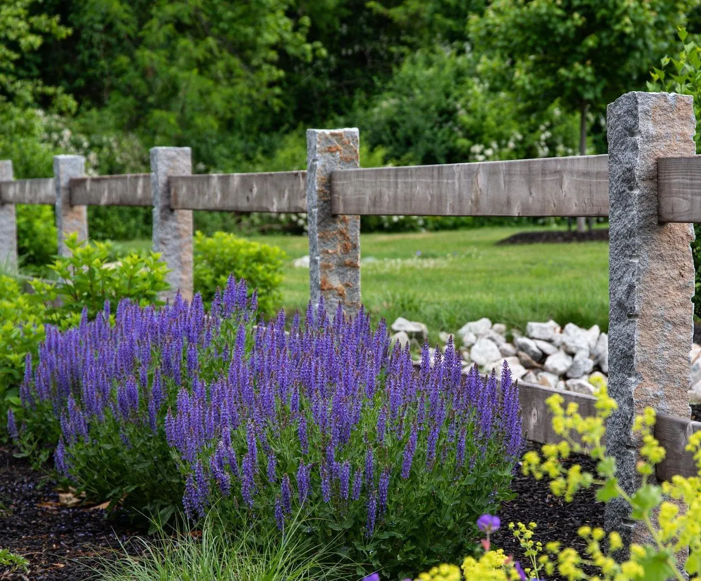 A garden with purple flowers, green bushes, and a wooden fence with stone posts under a canopy of trees.