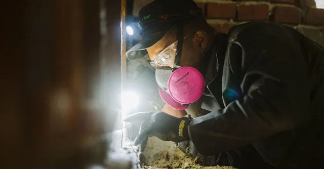 work photo from terminix.com