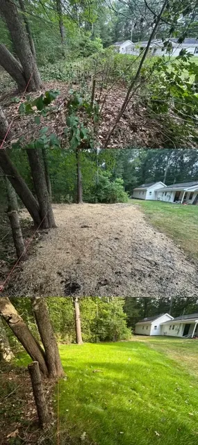 Professional yard maintenance