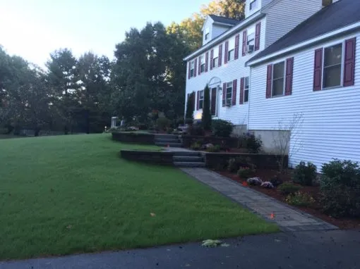 YARD & WALKWAY