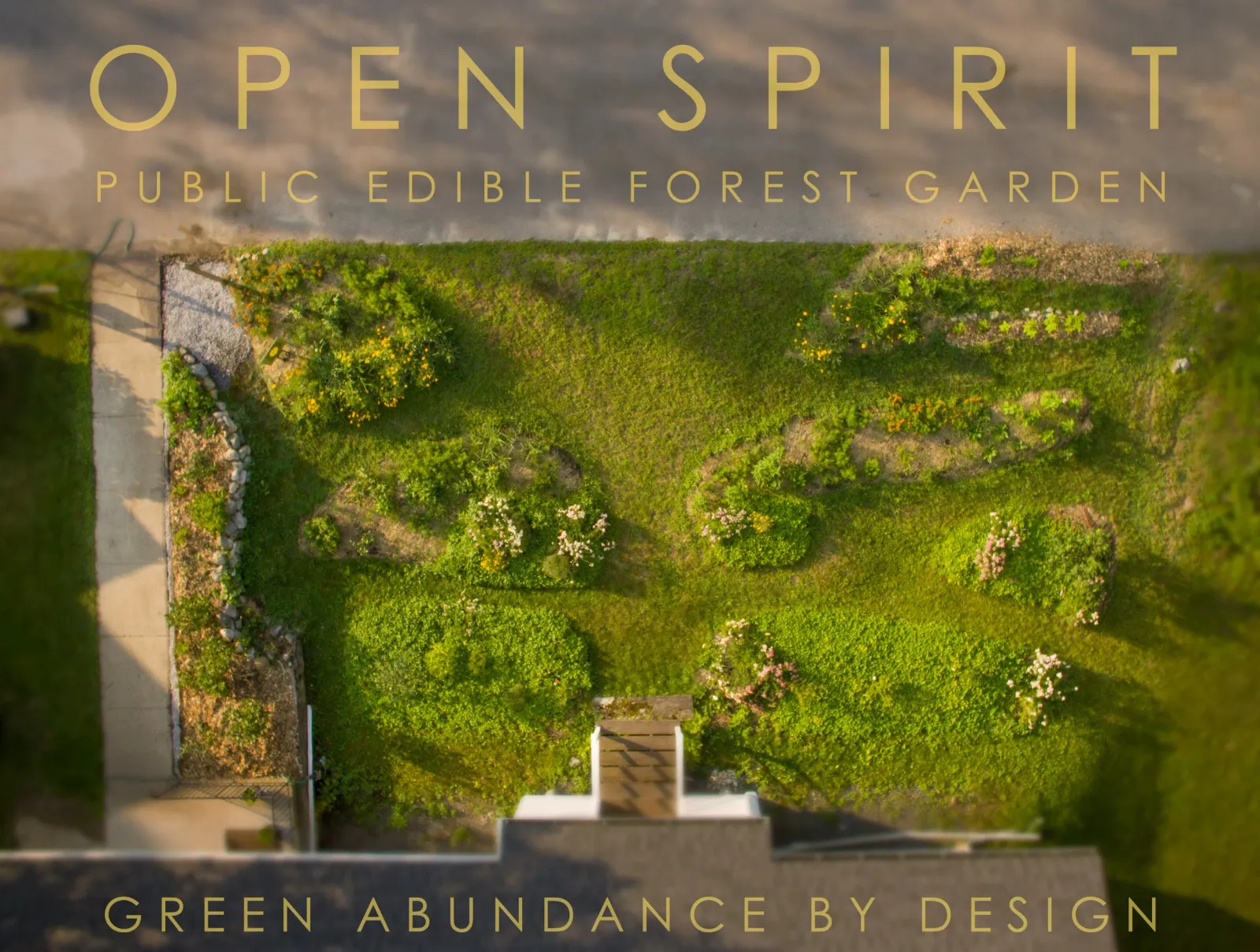 Open-Spirit-EFG.jpg