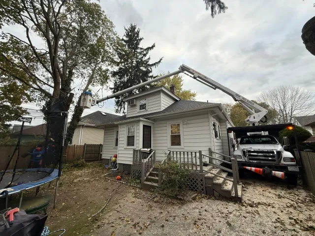 work photo from mmtreeservicellc.com