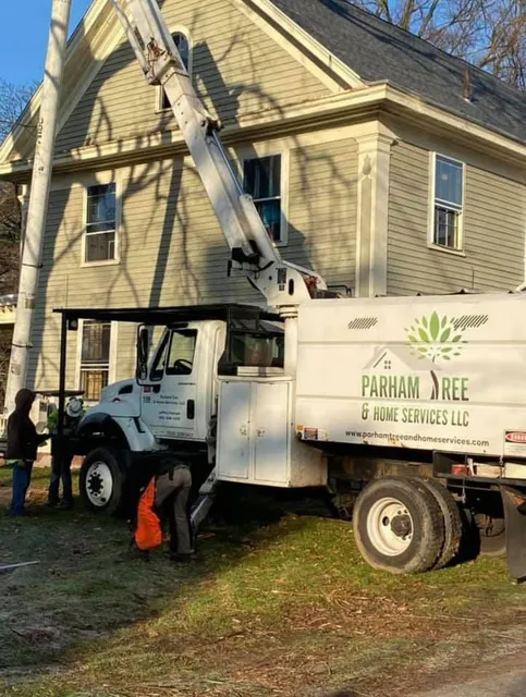 Parham Tree & Home Services work photo