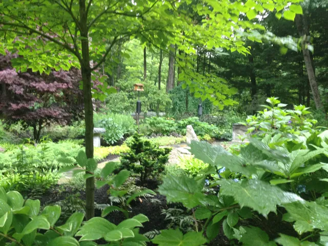 Native Landscape Design work photo