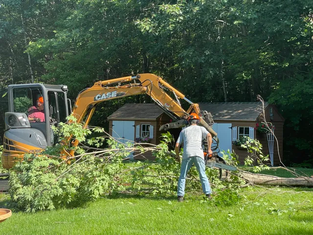Mark's Tree Service work photo
