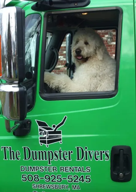 work photo from thedumpsterdivers.com