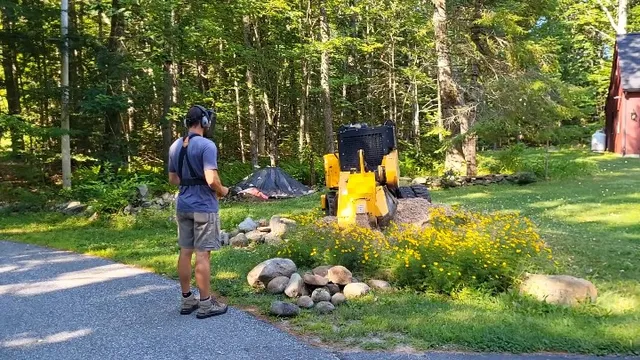 We appreciate your business, Buxton! We enjoyed the short commute this particular day. However, we do travel and would love to quote your project! Give us a call or text us some pictures at 207-929-4238 and we're happy to provide you a price.
#mainelandstumpgrinding #stumps #stumpsgone #stumpgrinding #stump #stumpremoval #stumpgrindingmaine #stumpgone #stumpremovalmaine #mainelandstump #stumpgrindingnearme