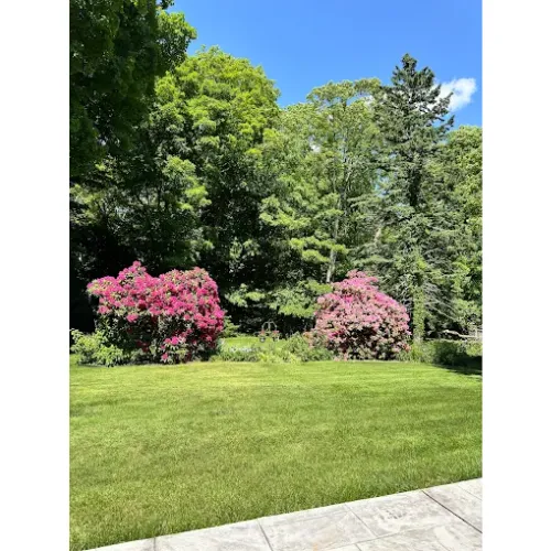 Turf MD work photo