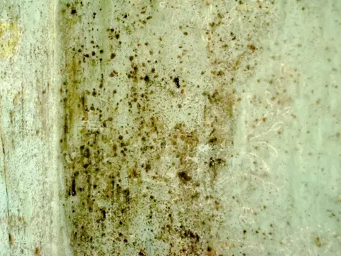 Close-up of a pale green, mottled wall with dark stains and weathered texture