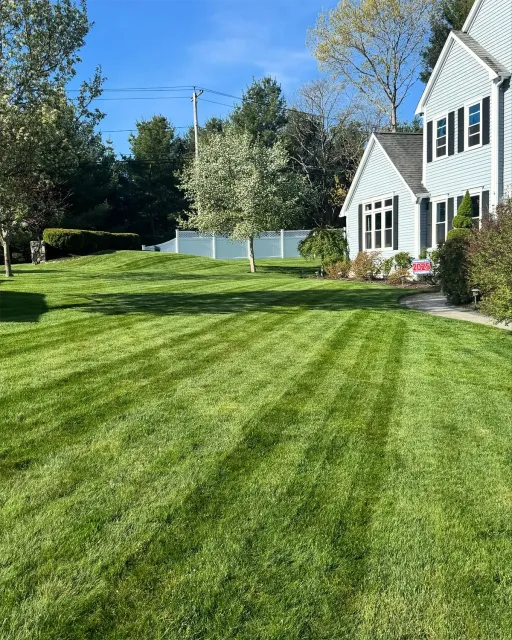 Green, striped lawn in front of a light blue house under a blue sky, with trees in the background.