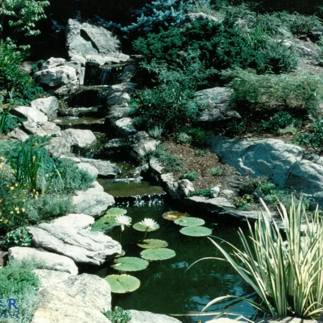 work photo from wagnerswimmingpools.com