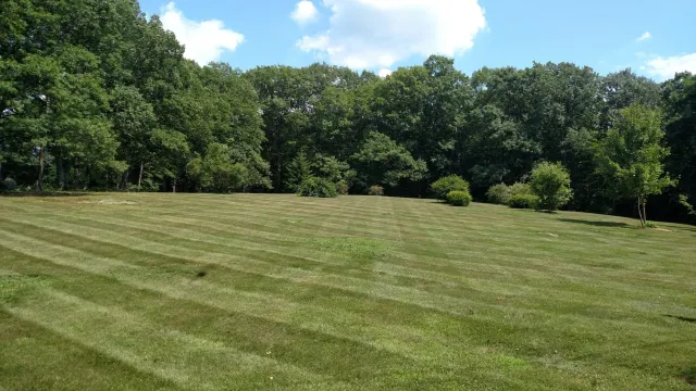 IMG_20160713_143228602.jpg