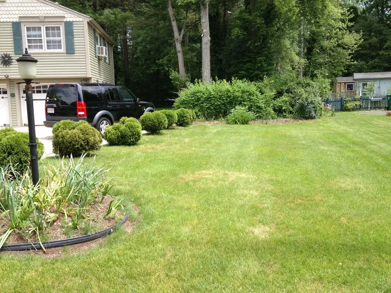 work photo from mebasslandscaping.com