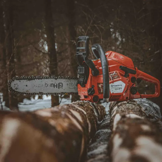 work photo from connecticutlandandtree.com
