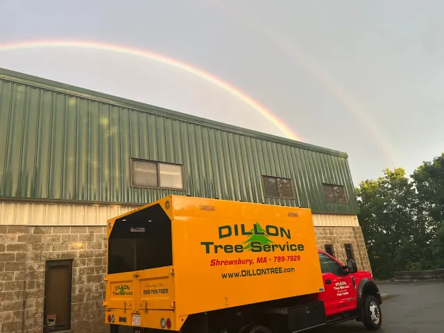 Dillon Tree Service truck parked beneath a double rainbow in front of a building with a green roof.