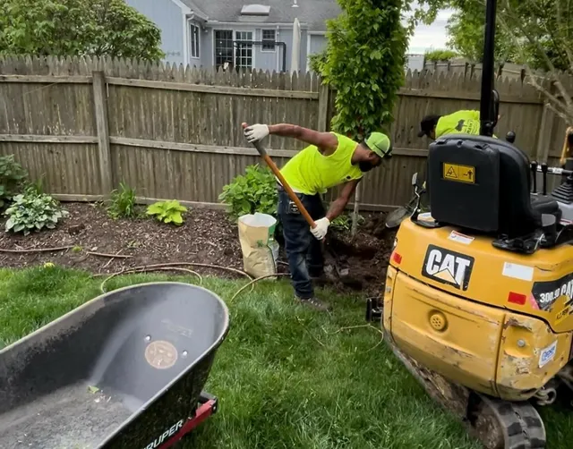 Frank's Arborcare LLC work photo