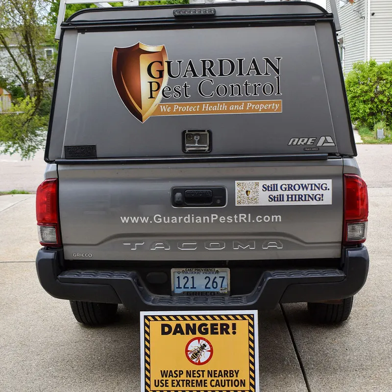 work photo from guardianpestri.com