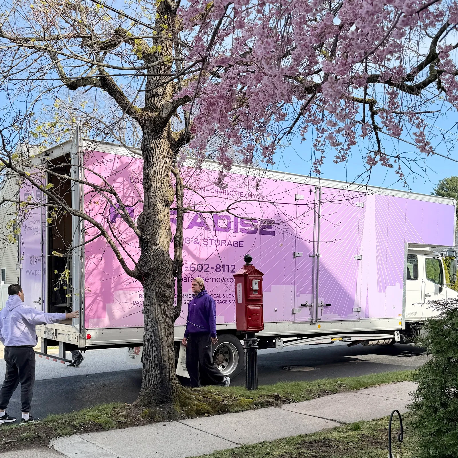 Paradise Moving & Storage