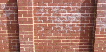 efflorescence.jpg