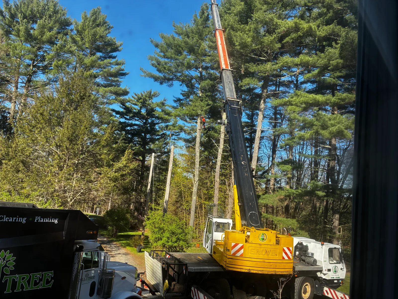 work photo from Google listing