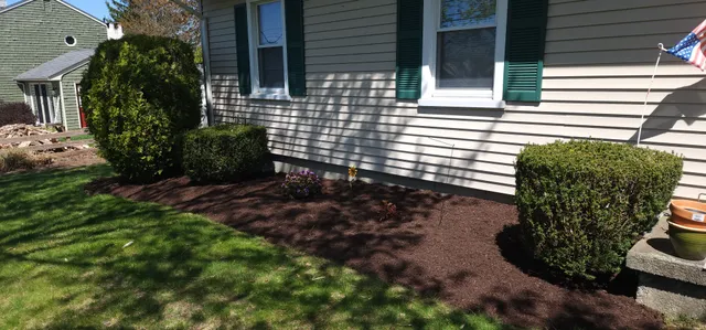 Luciris Lawncare work photo