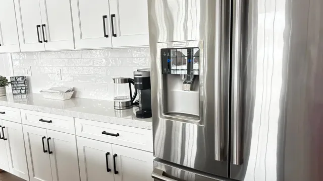 perfect-clean-stainless-steel-fridge0close.jpg
