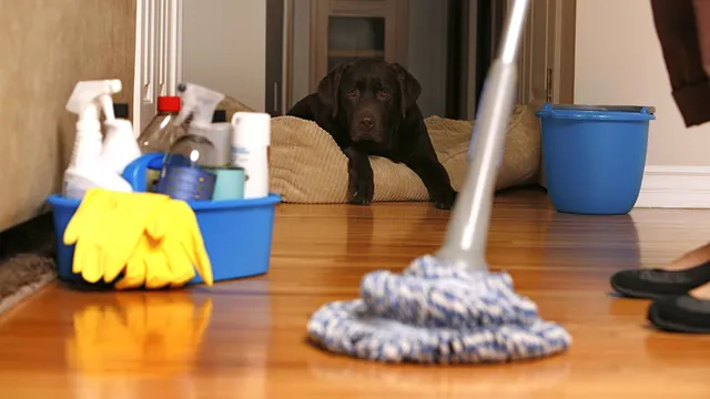 All Clean work photo