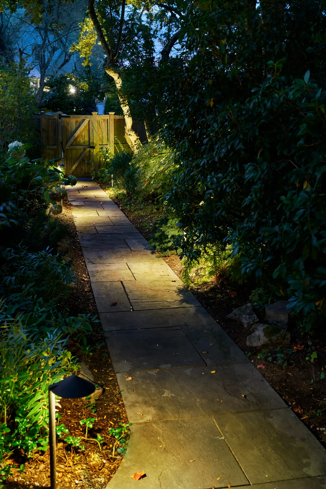 Blue stone walkway illuminated with low voltage landscape lighting in South Shore Massachusetts