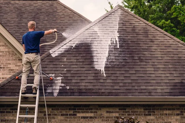 RoofClean1024-1024x681