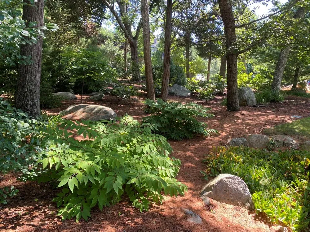 work photo from conollygardens.com