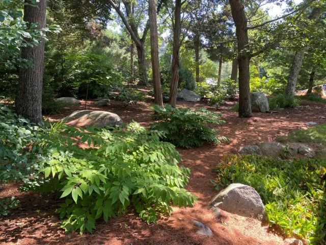 work photo from conollygardens.com