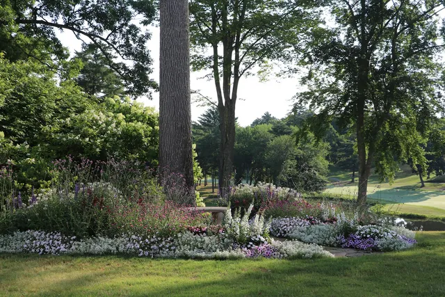SLS Outdoor Living & Landscaping