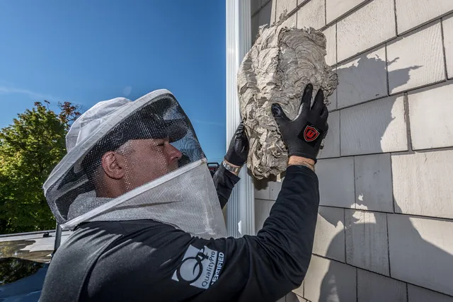 Ultra Safe Pest Management