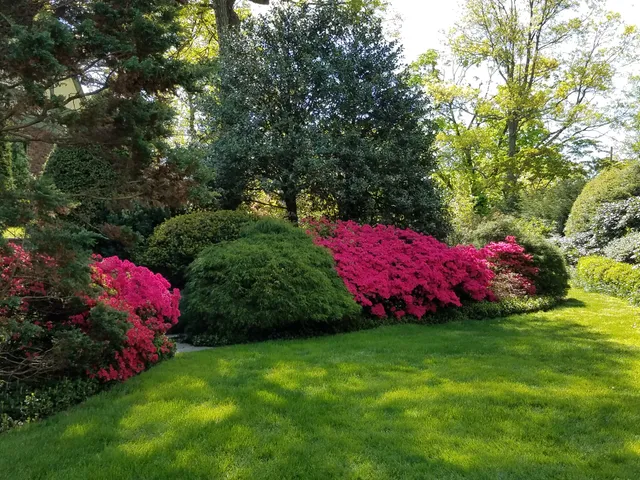 Briggs Landscape Design - Landscape design, installation and maintenance work photo
