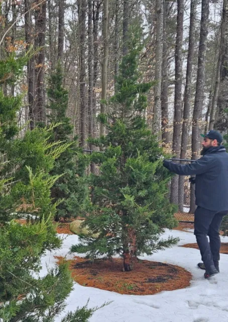work photo from grownrighttreeandshrub.com